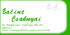 balint csaknyai business card